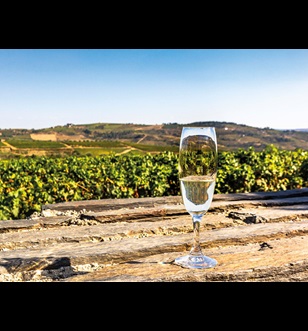 A glass of white wine sits on an outdoor table. Vineyards and rolling green hills are seen in the background.